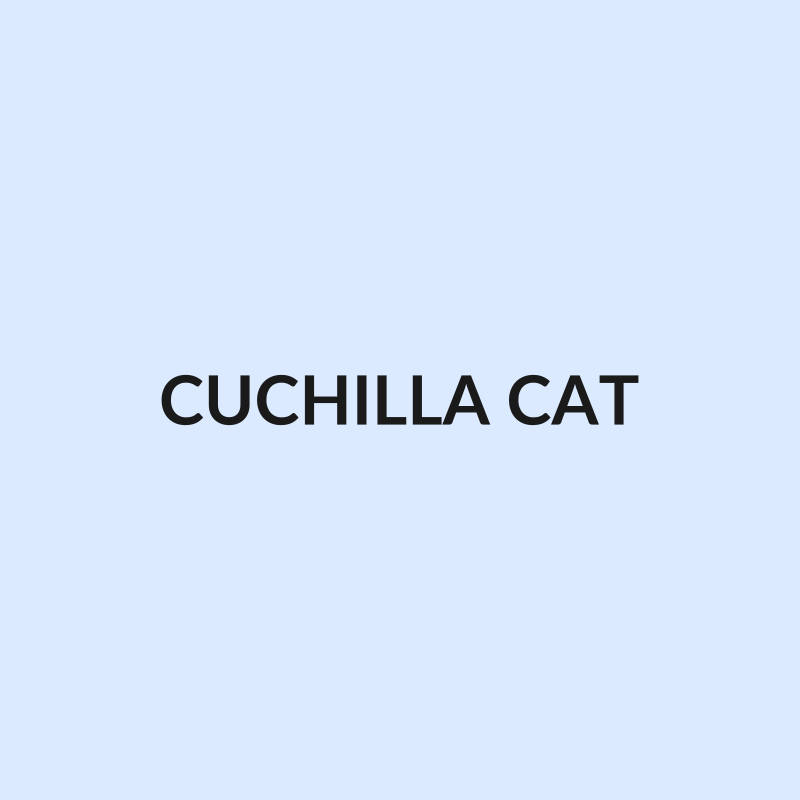 Labio Cuchilla Cucharón Caterpillar LABIO-1 - Avratech