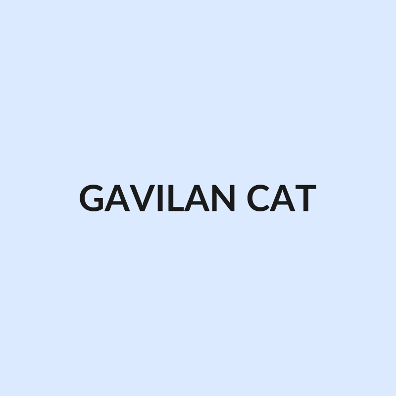Gavilán Izquierdo Caterpillar 3G8294 Bulldozer - Avratech